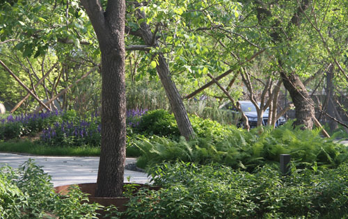 数科公园实拍图2